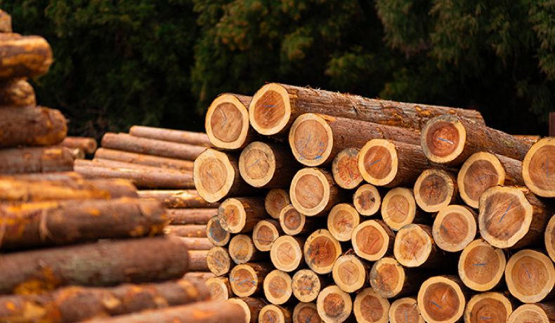 天竜材 構造材・床材・ドアなど